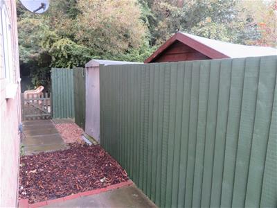 Picture 11